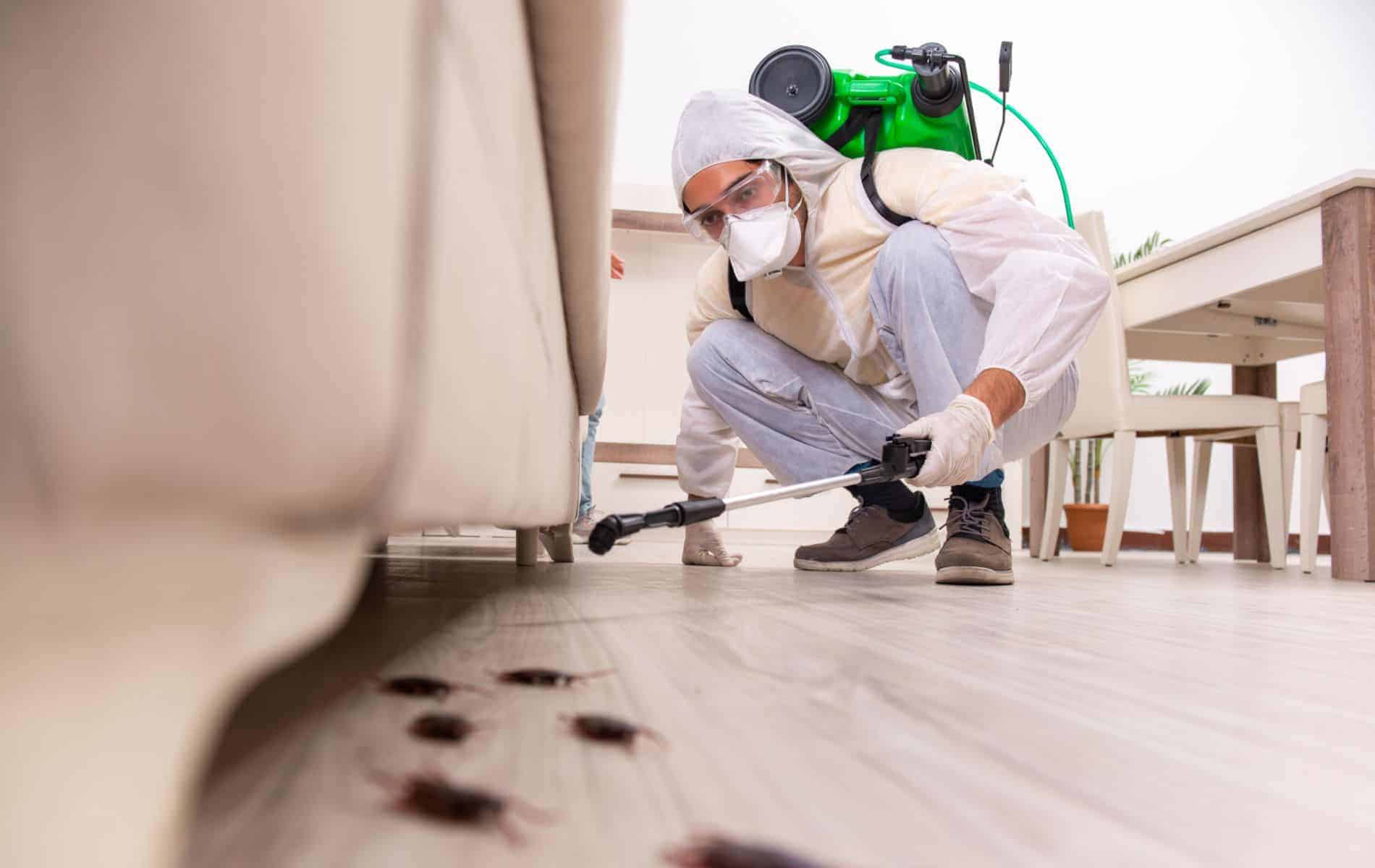 FLAT 3BHK pest control